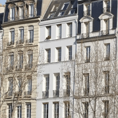 expatries-investissement-locatif-france