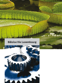 plaquette-labaloise
